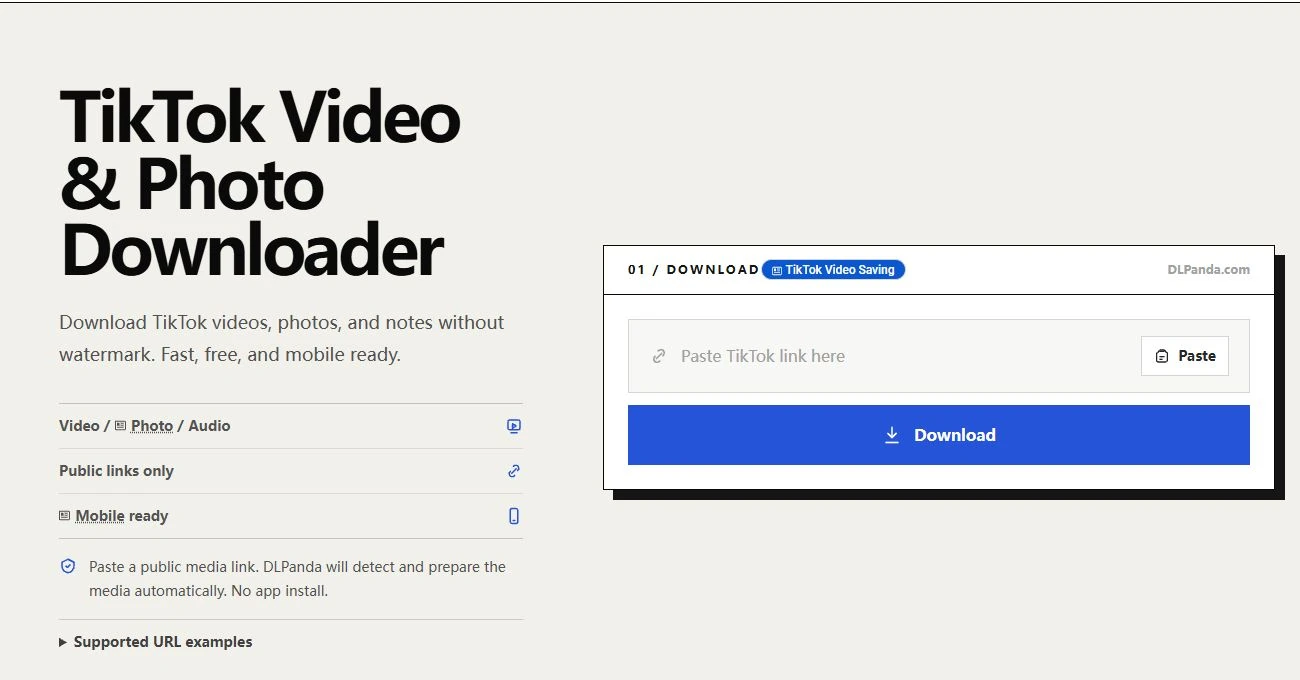 The new DLPanda interface with a public link field and a clearly labeled Download button
