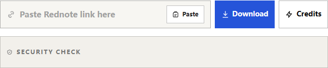 DLPanda Rednote share-link form and available form options